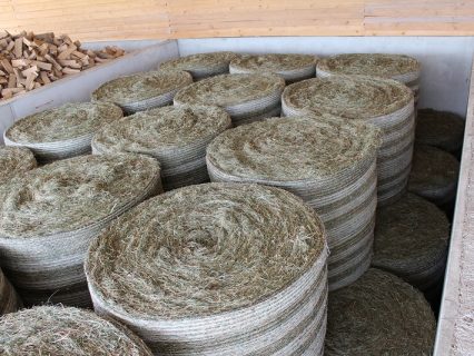 Round_hay_bales_in_drying_bay_1